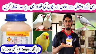 Vitamins ka khazana || Vitasol Super || Name bhi Super Kaam bhi Super || MBS Vlogers
