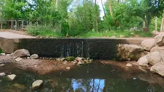 360 degree Christopher Creek scenery and wildlife