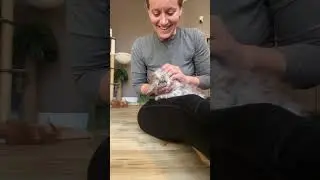 Behind the scenes live. Nail trimming with the big kittens. 