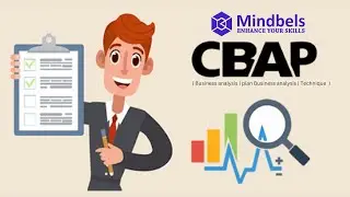 CBAP || Learn how to Plan Business analysis and Technique || CBAP Training