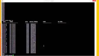 How to setup a Netapp SAN (Part 8 Adding Disks)