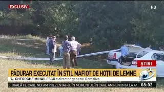 Pădurar executat în stil mafiot de hoții de lemne, în Maramureș. Bărbatul a fost împușcat î
