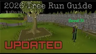 (2026) Level 3 Tree Run Guide (Post Sailing)