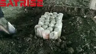Soil-covering cultivation of Coprinus comatus