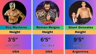 WWE Male Wrestlers Height Comparison: Shortest to Tallest! 😱 | 2025 Height Stats