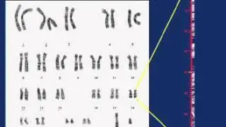 What is molecular analysis?