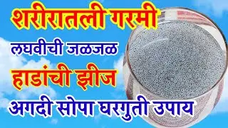 शरीरातली डोक्यामधली उष्णता लघवी साफ होण्यासाठी चिडचिड कमी होण्यासाठी सब्जा बी असे खा