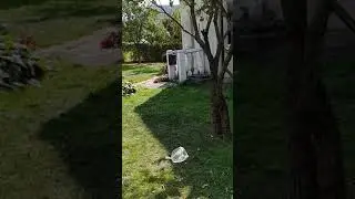 The Art of splashing water