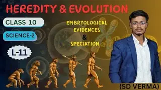 L-11|Embryological evidences & speciation| Heredity and Evolution|Class10th|#mhboard @SDVERMA07