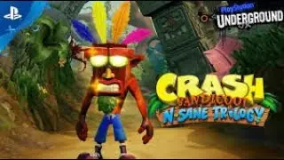 | Platformer Problems  | Crash Bandicoot N Sane Trilogy