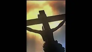 God is king @vortex.mp40