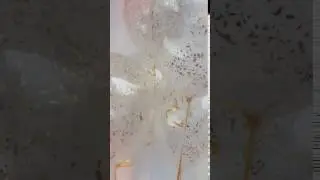 Gold Confetti Balloons