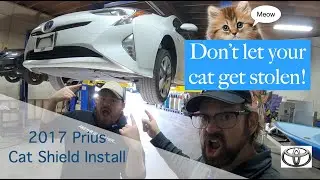 Toyota Prius Cat Shield Install
