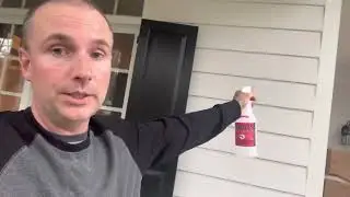 How to repel lizards Geckos and Anoles from your home easily and naturally