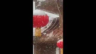 China's 