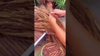 the process of forming dried leaves into long and short pieces #shorts