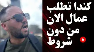 فرصة حقيقية للسفر إلى كندا عن طريق العمل | قدم الآن برابط واحد فقط	
