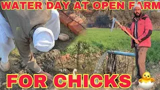 For My All Pets Water Day At Open Farm | 400 Chicken Business Water Day | Mr Asad 
