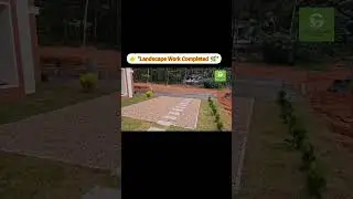 Empty space ➝ Green transformation 🌿✨Complete landscape work done