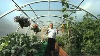 Automatic Irrigation inside a Polytunnel - V64