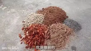 我最新的月季花配土基质以及比例（仅供参考）