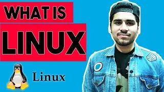 What is Linux? Linux Vs Windows? No Virus?
