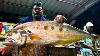 KASIMEDU SPEED SELVAM QUEEN TREVALLY FISH 🐟 CUTTING VIDEO \ CUTTING FOCUS