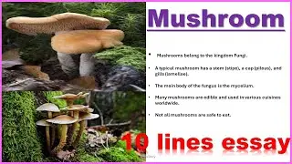 Mushroom || 10 lines essay on Mushroom || 10 lines on Mushroom