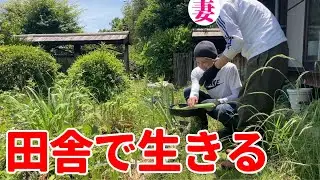 初夏の恵み。畑大忙しの移住3年目、野菜と猫に癒される日々【112話】