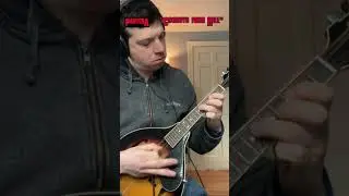 Pantera cowboys from hell on mandolin