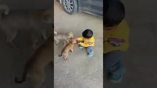 Love ❤️🧿 #tumitnecutekyuho #funnybaby #cutebaby #funny #funnyclips #cute #tuteetute #baby #tuhito