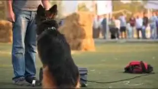 Mmk Cairo- RBS 2011 Highlights.mp4
