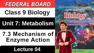 Chapter 7 Metabolism | Mechanism of Enzyme Action | Class 9 Biology Federal Board New Book 2025 NBF