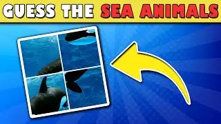 Guess the Sea Animal by Its Scrambled Image in 5 Seconds? Animals General Knowledge Trivia Quiz
