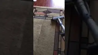 Wool rug cleaning of heavy foot traffic by Dr. Carpet