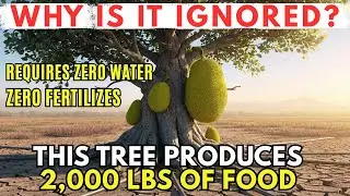2,000 Pounds of Food With Zero Effort &mdash; The Crop They Turned Into a Weapon