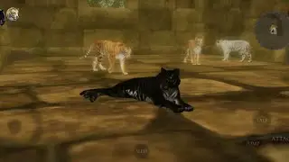 Ultimate Tiger Simulator 2 High Level Gameplay New Black Tiger 3-3