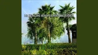 Fields Of Spirituality