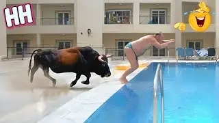 Funny & Hilarious People Life 😆 #14 | TRY NOT TO LAUGH 😂 | Best Fails Compilation 2025