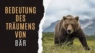B&auml;r Traumdeutung | Bedeutung Von B&auml;r Im Traum | Symbolik Von B&auml;r | Traumlexikon B&auml;r