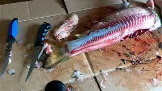 How to clean a carp for easy eating
