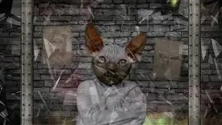 TIMMS Hannibal Lyric Video!