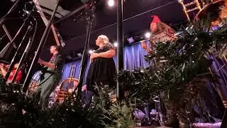 Ebird & Friends Holiday Show @ The Ark - December 12th (Part Three)