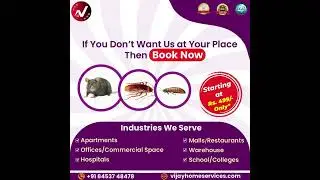 Cockroach Pest Control - 8453748478 - Bangalore - Hyderabad - Chennai - Pune