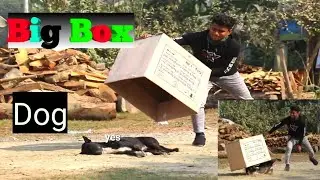 Box_Wrapping_-Dog-_Prank | Big Box vs Crazy Dogs Prank Very Funny try to not laugh (Raj RonGo TV)