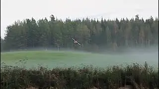 Multiplex partenavia keinukalliolla