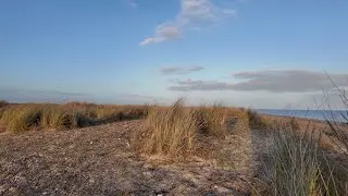 Wybrzeże Essex — dzikie tereny