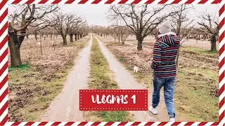 🎄PIERWSZY GRUDNIOWY SPACER - VLOGMAS #1 🎄