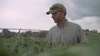 The Potential of Sustainable U.S. Soy, Condensed Version