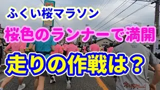 福井初のフルマラソン「ふくい桜マラソン」を走ってきました。あとの予定のためにとった走りの作戦とは？？